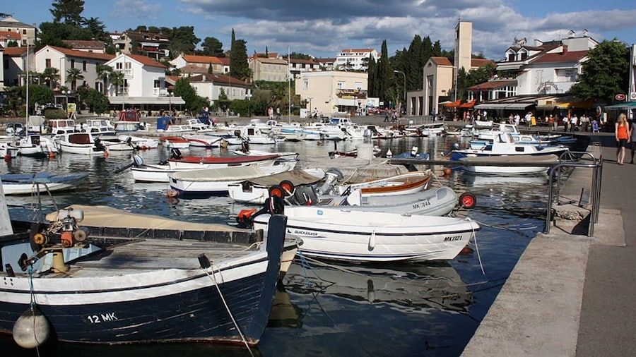 Spacious Apartment With Terrace & Garden Grill