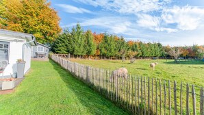 A fenced yard with a grassy area, a wooden fence, and a building with a window and a door. - Charming House With Sauna, Jacuzzi in Bullange (Buellingen)