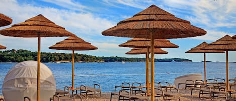 Vista desde la propiedad