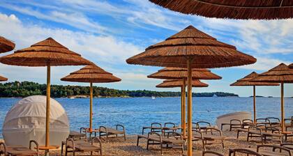 Villa in Vabriga With Private Pool & Garden