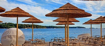 Villa in Vabriga With Private Pool & Garden