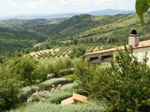 Exterior - Quaint Holiday Home in Arcidosso With Swimming Pool (Arcidosso)