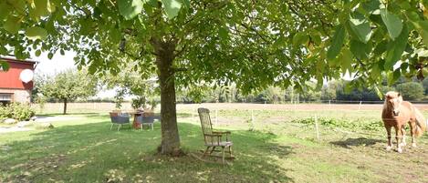 Apartment | Kawasan hartanah