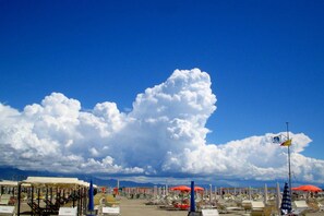 Una playa con filas de tumbonas y sombrillas bajo un cielo despejado.