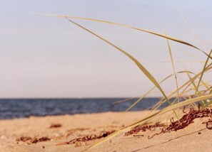 View from property - Apartment in Kroepelin Near Baltic Sea (Kroepelin)