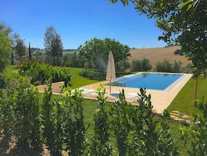 Ein rechteckiger Swimmingpool mit einem weißen Sonnenschirm, umgeben von einem gepflegten Rasen und verschiedenen Pflanzen.