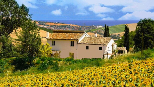 A rural landscape with a field of sunflowers, a white building with a tiled roof, and a view of the sea in the background. - Belvilla by OYO Mare (Fermo)