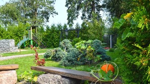 A garden with a wooden bench, a rock, and a pumpkin plant. - Holiday Home by Lake in Nowa Wioska (Lubrza)