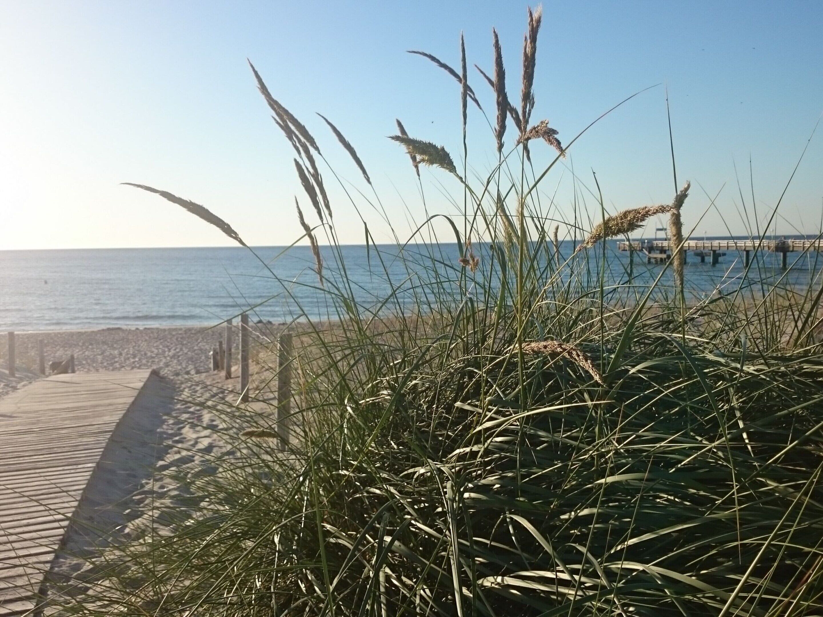 Une plage avec une promenade en bois menant à l’eau, entourée d’herbes hautes.