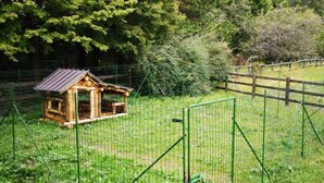 A small wooden structure with a sloped roof, surrounded by a green wire fence and grass. - Serene Chalet in Antey-Saint-André near Ski Area (Antey-Saint-Andre)