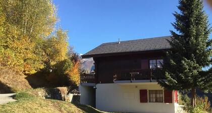 Cozy Apartment in Fiesch/wallis With Outside Terrace