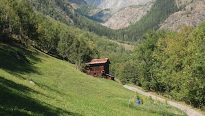 Exterior - Cozy Apartment in Fiesch/wallis With Outside Terrace (Fiesch)