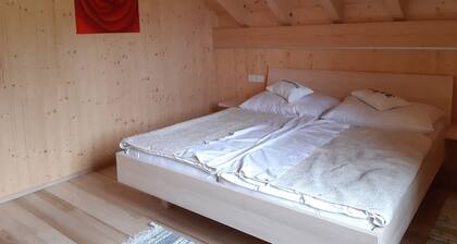 Charming Holiday Home in Bizau Near Ski Area
