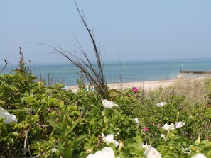 Apartment | Blick von der Unterkunft