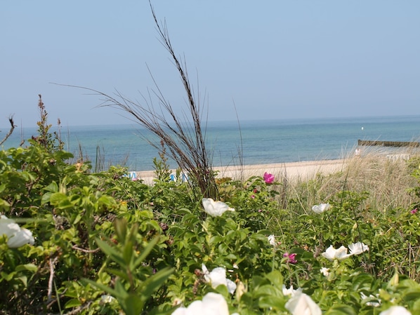 Apartment | Blick von der Unterkunft