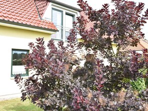 Apartment | Außenbereich