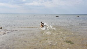 해변