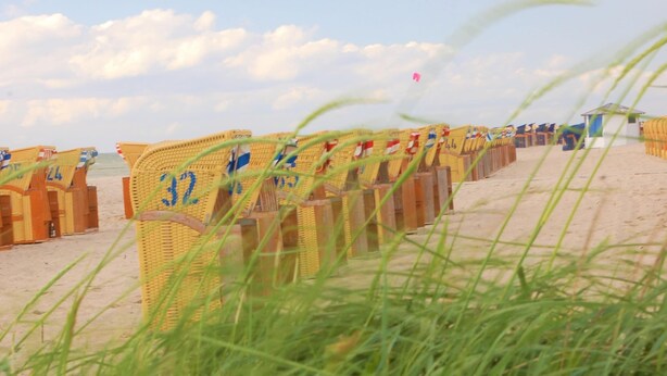 Beach chairs numbered 32, 24, and 22 lined up on a sandy beach. - Landhaus in Gressow mit Terrasse (Gaegelow)