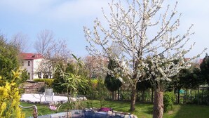 Un giardino con piscina, circondato da alberi e con una casa sullo sfondo.