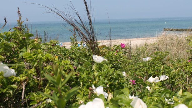 Una spiaggia con una costa sabbiosa e vista libera sull'oceano.