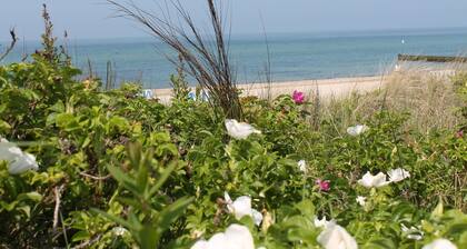 Komfortable Ferienwohnung in Strandnaehe in Rerik