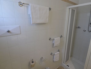 Apartment | Bathroom | Shower, towels