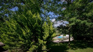 Ein Garten mit Schwimmbecken, umgeben von üppigem Grün.