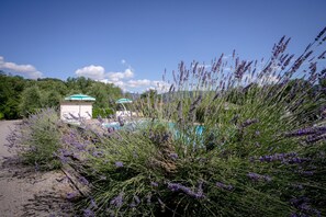 Villa | Piscine