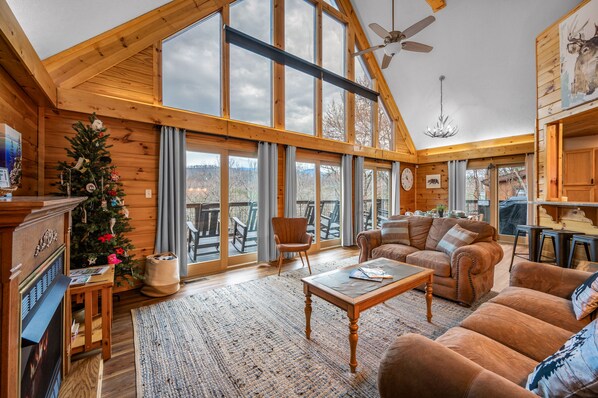 Smart TV, fireplace, books