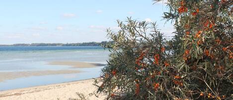 Bungalow | Vue depuis lâhĂ©bergement