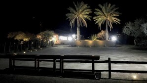 Un espace extérieur éclairé, aménagé pour la nuit, avec des palmiers, un banc et un bâtiment illuminé.