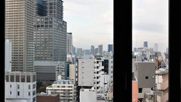 Vistas desde la habitación