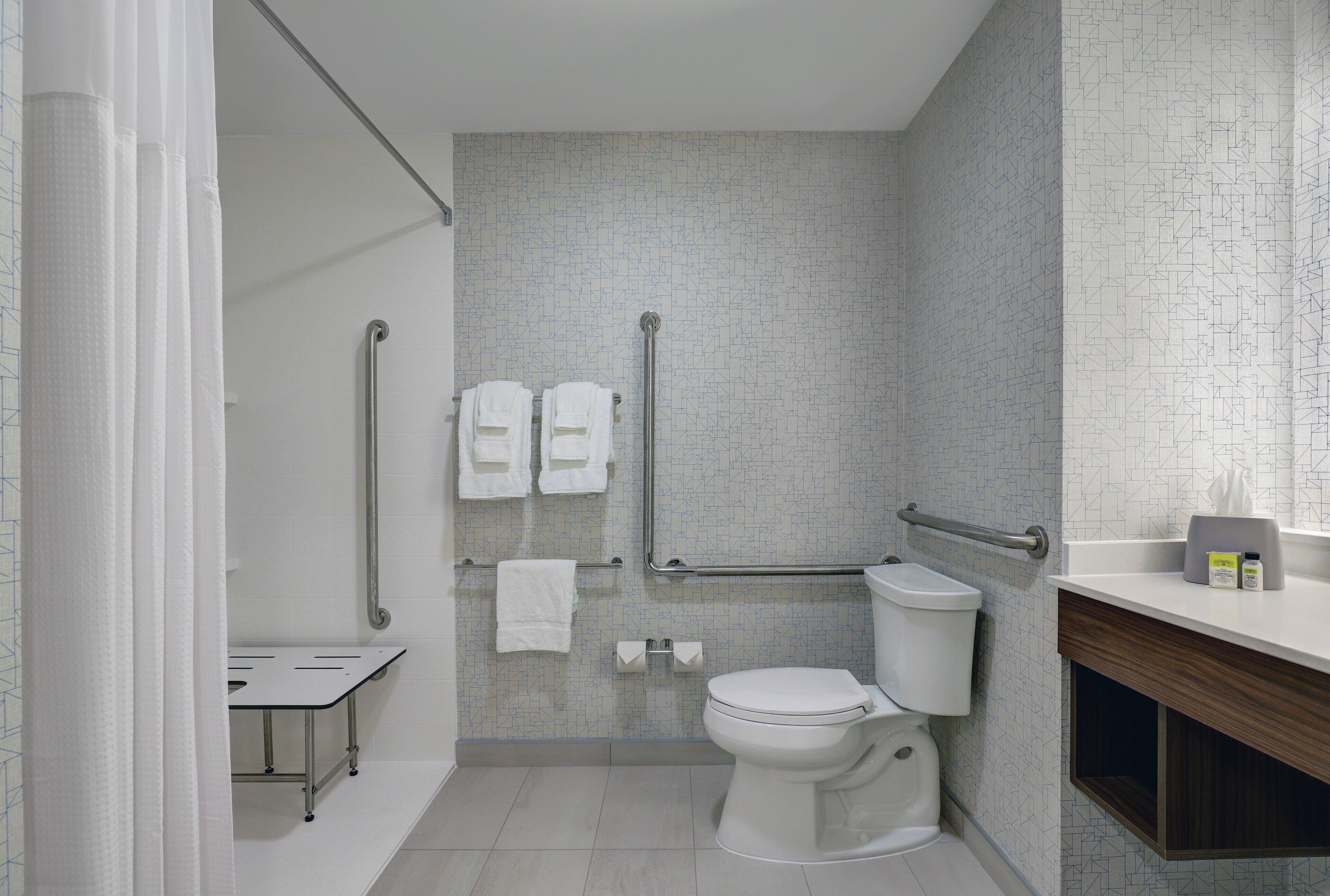 A modern bathroom with a toilet, grab bars, a shower area, and a sink.