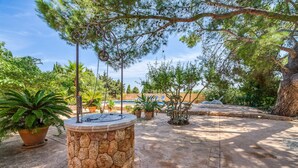 Una fuente de piedra rodeada de plantas en macetas y árboles, con una piscina y sillones de descanso al fondo.