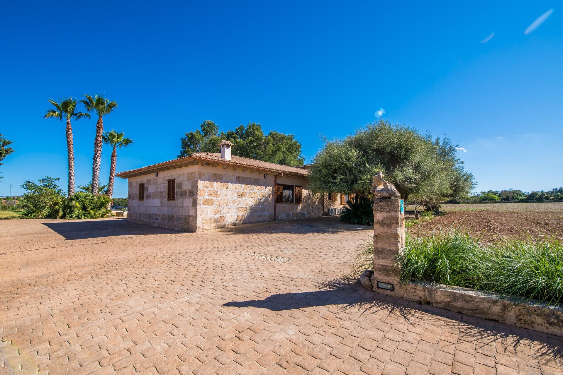 Une maison en pierre avec un toit en tuiles, une allée pavée et une végétation luxuriante tout autour, notamment des palmiers et un grand arbre.