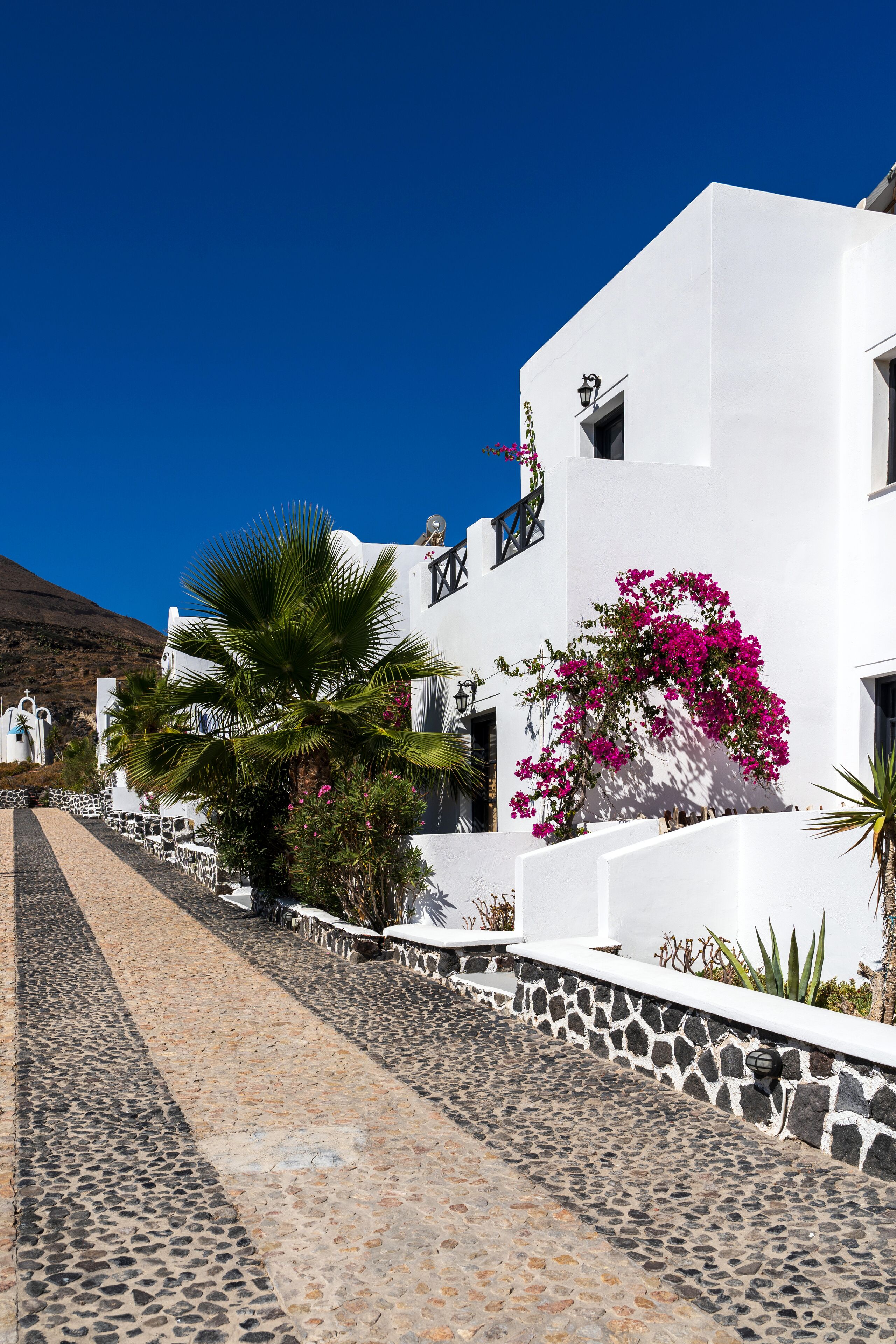 A white building with a stone pathway leading to it, surrounded by palm trees and bougainvillea.