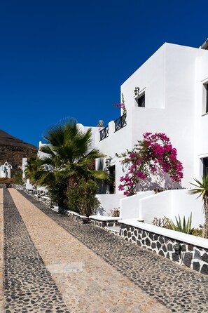 A white building with a stone pathway leading to it, surrounded by palm trees and bougainvillea.