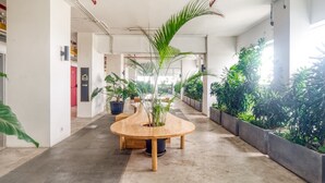 A modern indoor space with a curved wooden table, potted plants, and a concrete floor. - RedLiving Apartemen Grand Kamala Lagoon - Kita Pro Tower Barclay North (Bekasi)