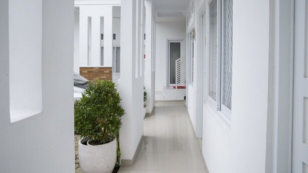 Un couloir étroit et blanc, avec un pot de plante sur le côté gauche et une porte au fond.