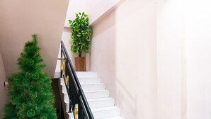 A staircase with white steps, a black railing, and a potted plant on the landing.