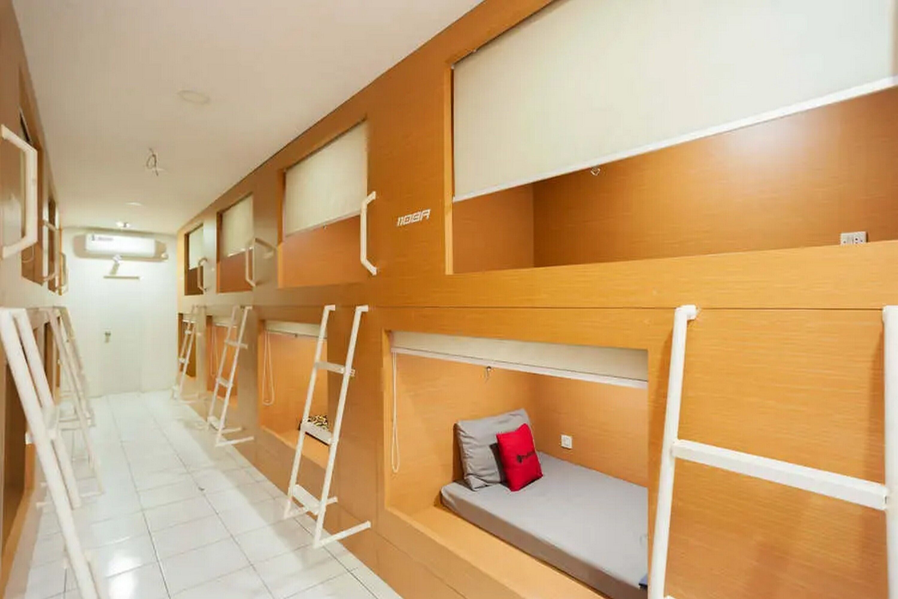A dormitory room with bunk beds, a ladder, and a window.
