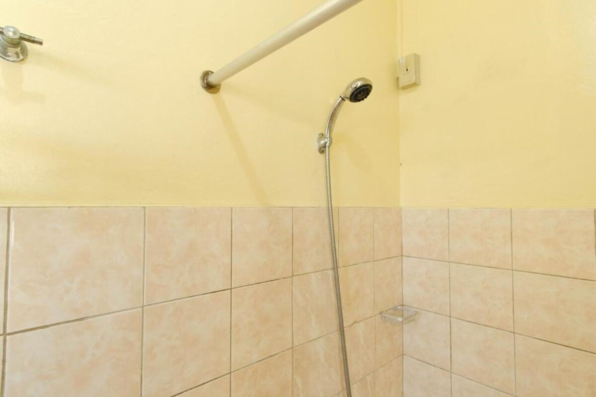 A shower area with a handheld showerhead and a grab bar.