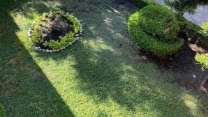 Um jardim ajardinado com um caminho pavimentado, sebes bem aparadas e uma grande árvore.
