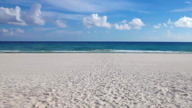 Een strand met een heldere lucht en oceaan.