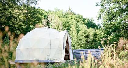 The dome, an unusual night among snails