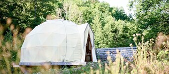 The dome, an unusual night among snails