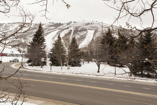A snow-covered landscape with a road, trees, and a mountain in the background.