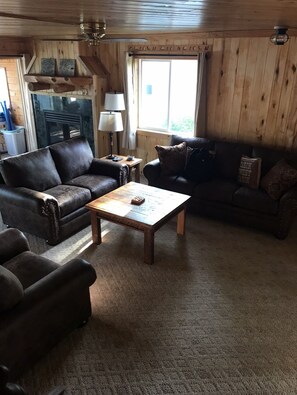 Smart TV, fireplace, DVD player, books