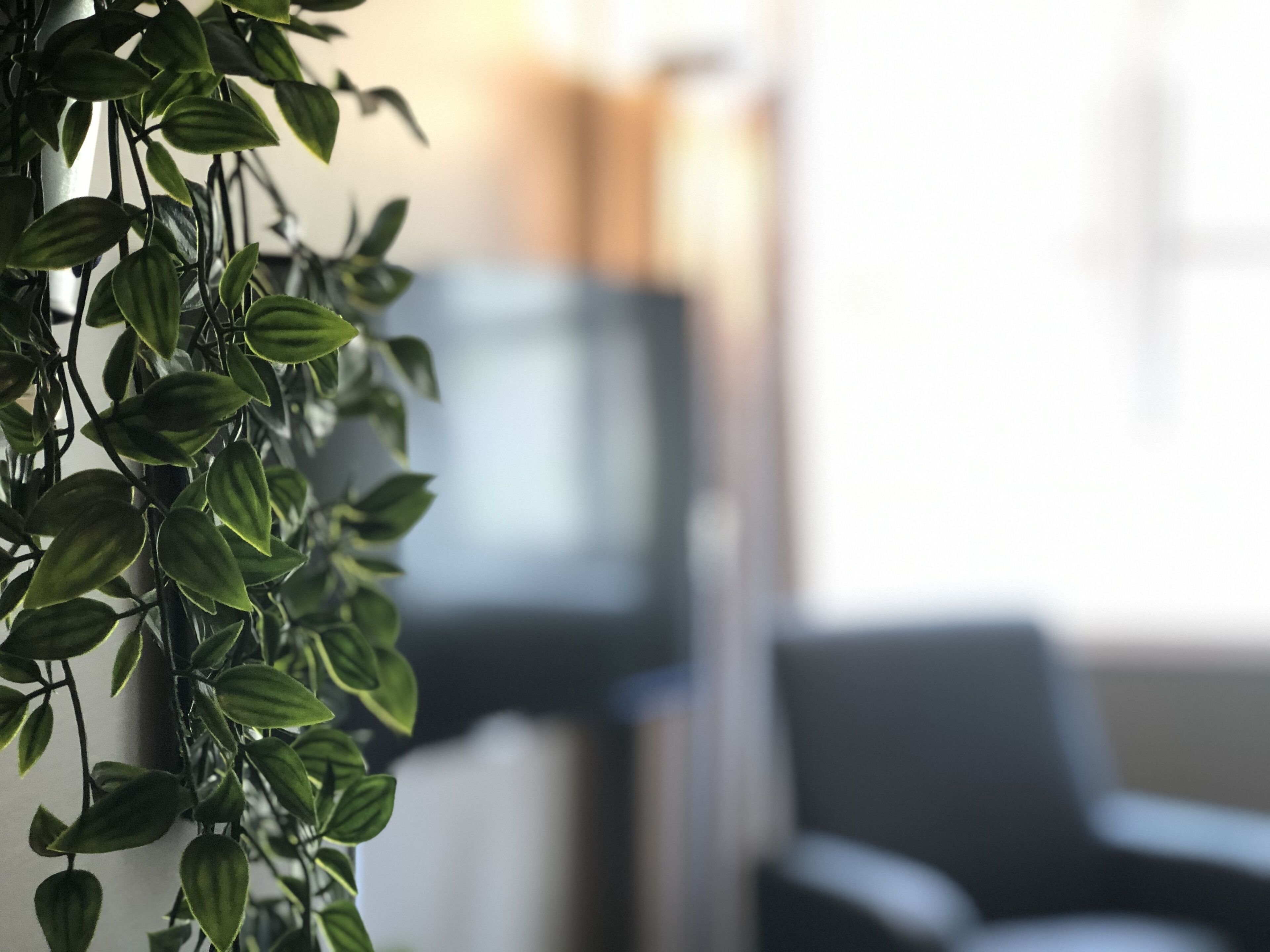 individually decorated, individually furnished, desk, laptop workspace