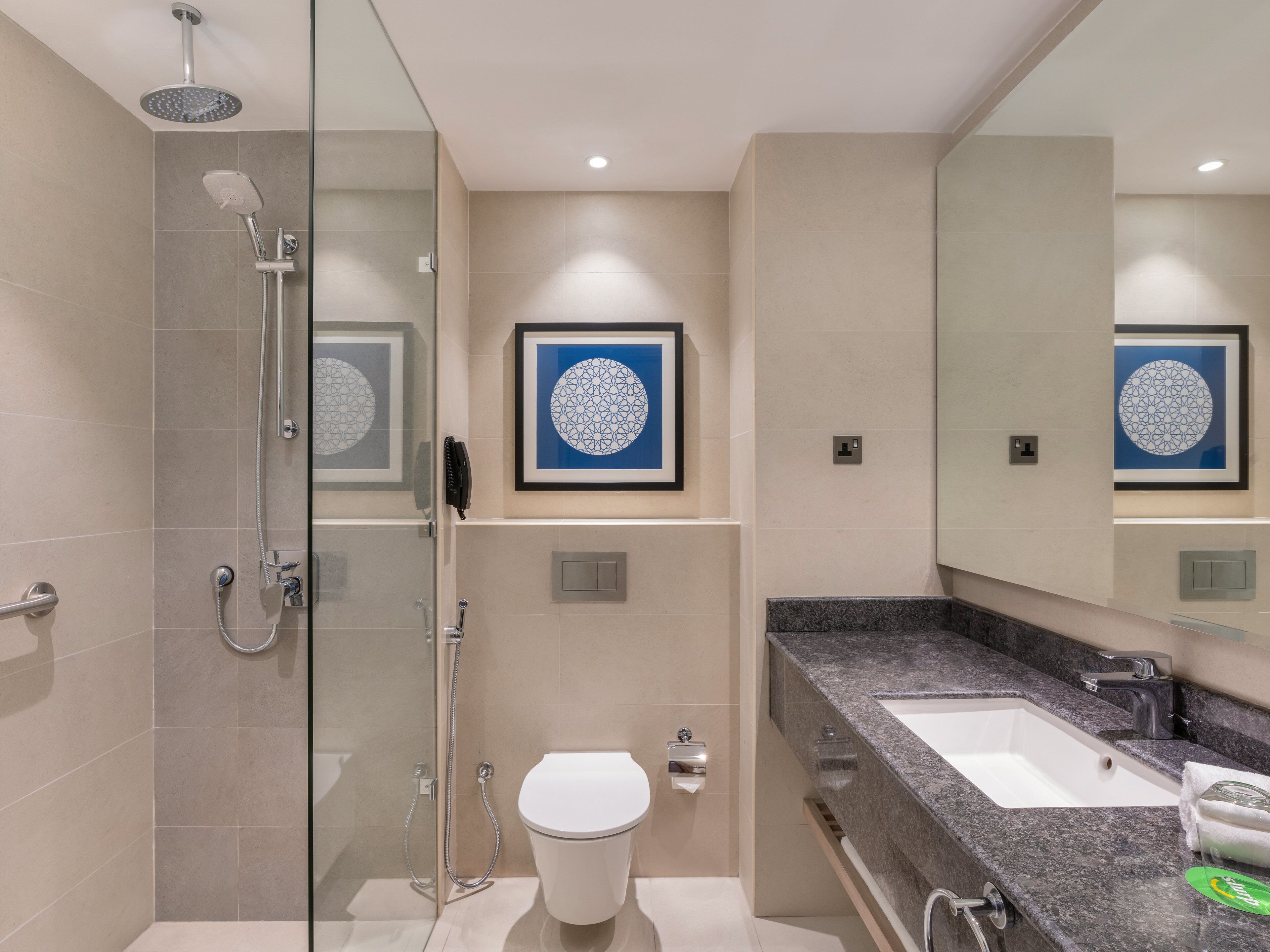 A modern bathroom with a glass-enclosed shower, a toilet, a sink, and two framed wall art pieces.
